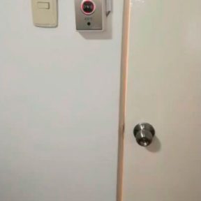 VIS-7013 Exit Button in Home Door